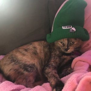 Meet your Posher, Kate